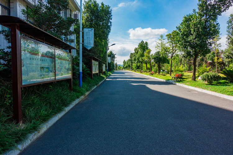 临江学校在哪里，要怎么坐车？，临江镇学校